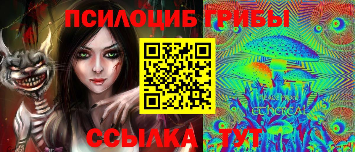 Орехово-Зуево  Галлюциногенные грибы Psilocybe  Вход с VPN 